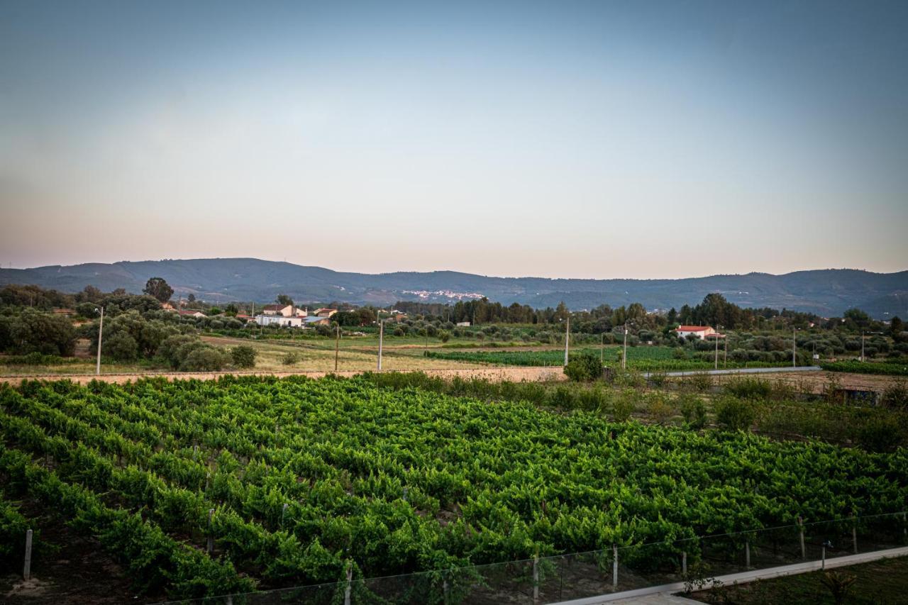 Quinta Das Oliveiras Turismo Rural Фундан Экстерьер фото