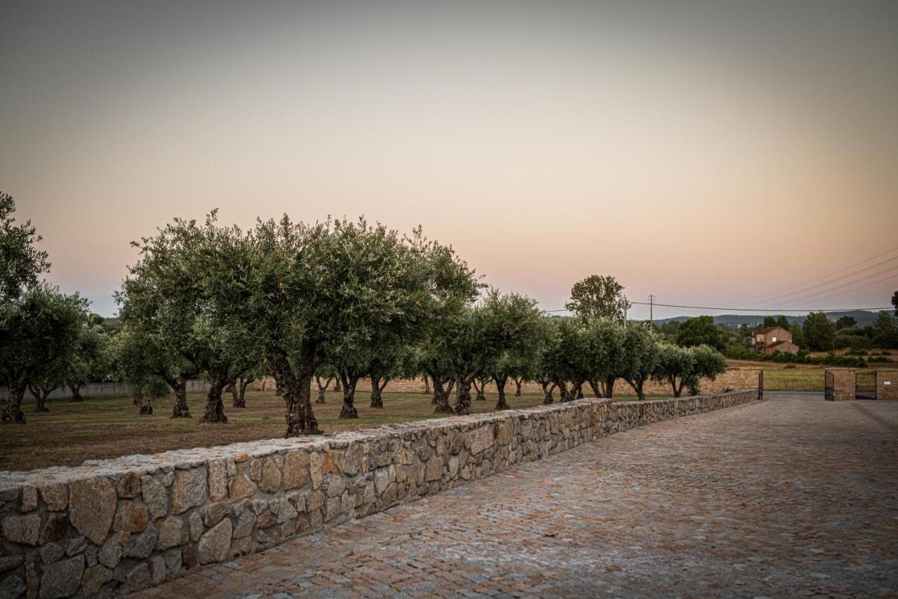 Quinta Das Oliveiras Turismo Rural Фундан Экстерьер фото