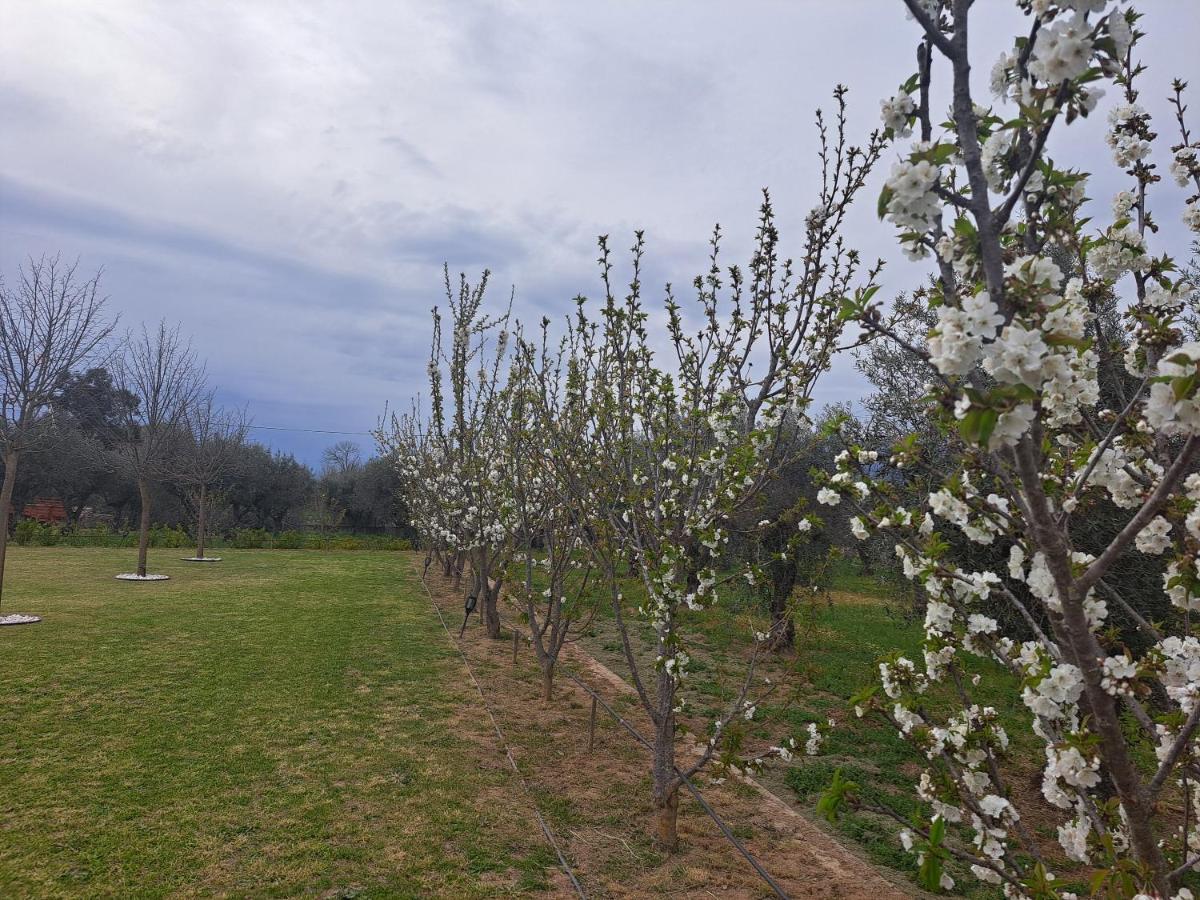 Quinta Das Oliveiras Turismo Rural Фундан Экстерьер фото